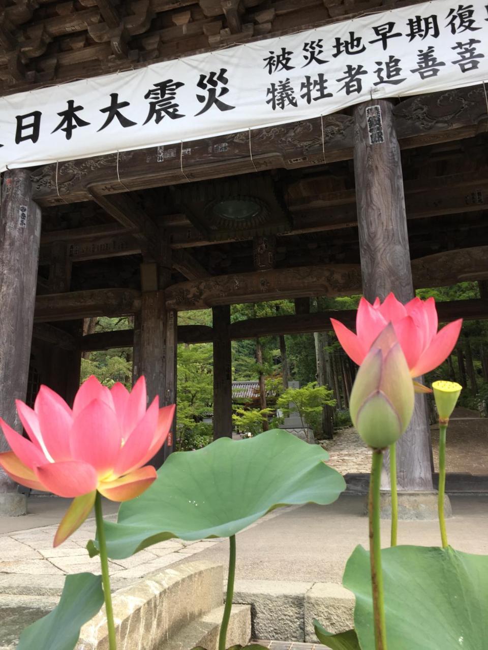 료칸 타나카야 Minobu 외부 사진